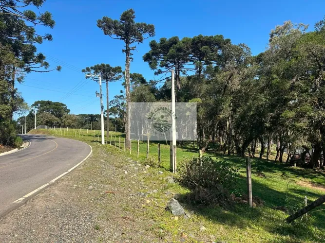 Terreno para sitio com area de festa e quarto, frente para o asfalto, escriturado
