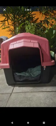 Casinha de cachorro
