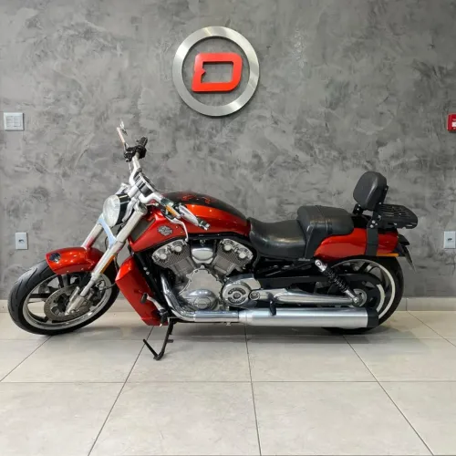 V-ROD 1250cc MUSCLE VRSCF