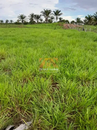 Fazenda com 1 Quarto à Venda, Centro - Piçarra