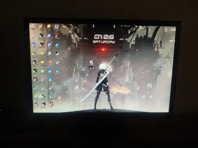 Monitor LED Brazil PC 19 pol