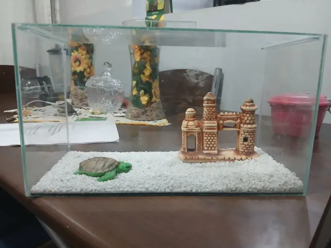 Aquario