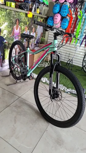 Bike aro 29