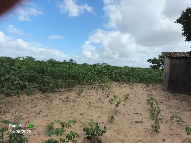 OPORTUNIDADE ÚNICA EM BOM JESUS/RN! Terreno para Granja 10 Mil Metros Quadrado.
