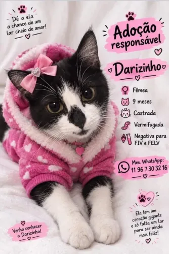 Doação gata