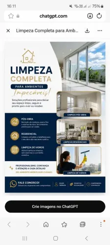 Limpeza profissional