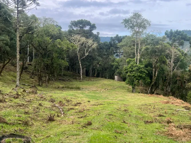 Terreno em Urubici - VISTA ESPETACULAR