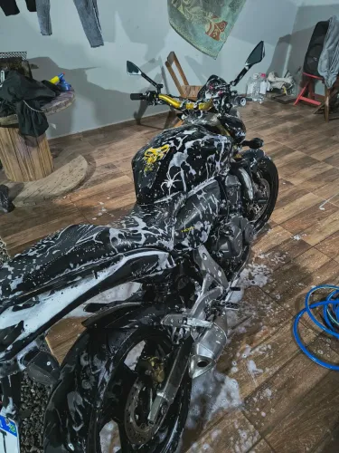 Hornet 600f 