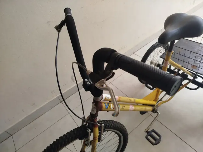 Triciclo Bambú