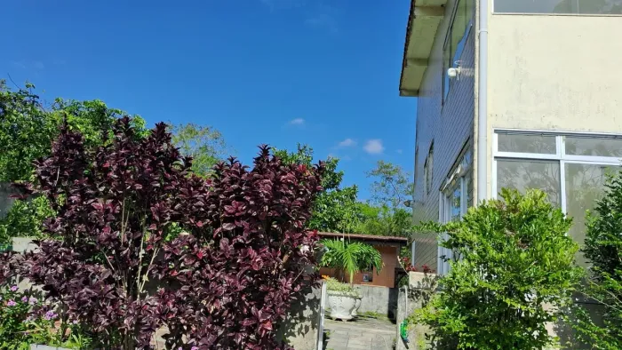 2 casas em grande área com árvores frutíferas,canil para morar ou fonte de renda Gravatá
