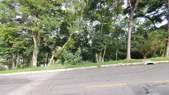 Lote / Terreno - Alto dos Pinheiros
