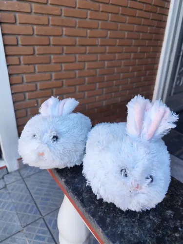 Pantufa coelho