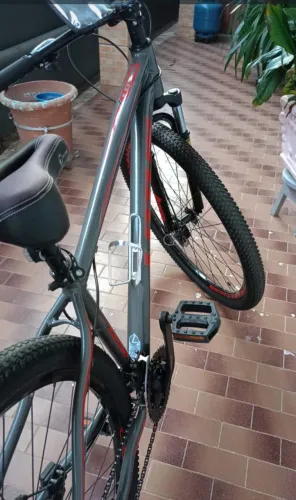 Bicicleta lotus aro 29