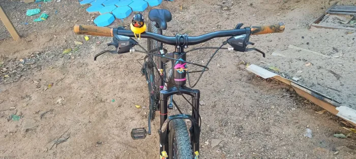 Bicicleta de marcha aro 29