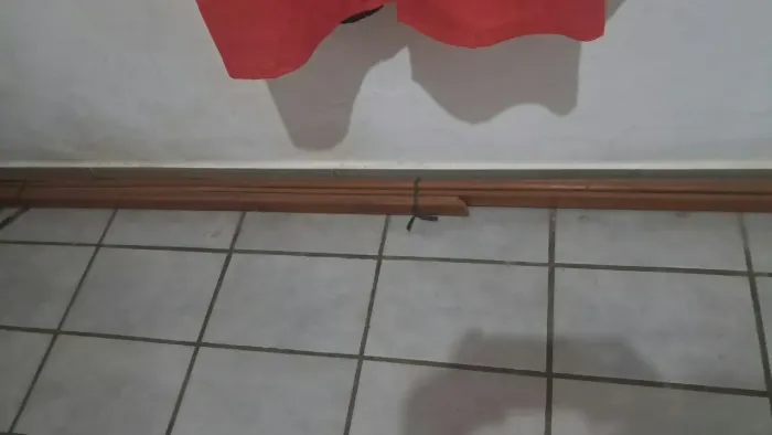 Alisares para porta.