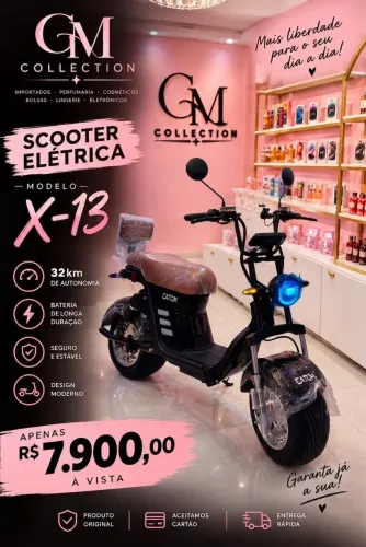 Scooter Elétrica x-13