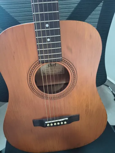Cort earth 50F tampo maciço cedar 