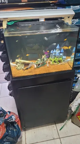 Aquário