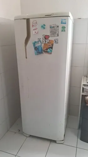 Vendo geladeira, precisa trocar o motor.