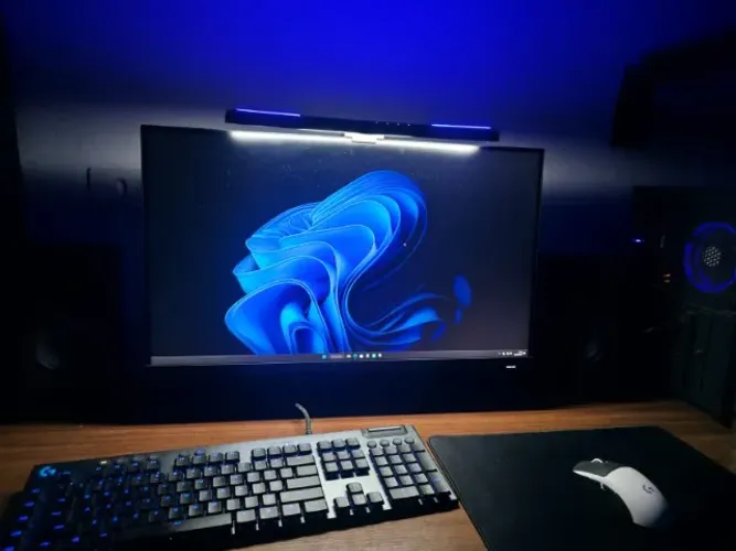 Monitor gamer