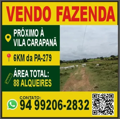 Fazenda à venda em São Félix do xingu/ PA