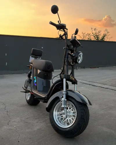 Scooter Elétrica X13