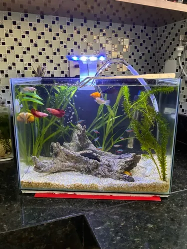 Aquário 26.5L