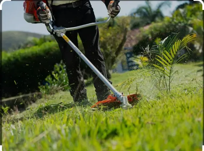 Jardineiro profissional
