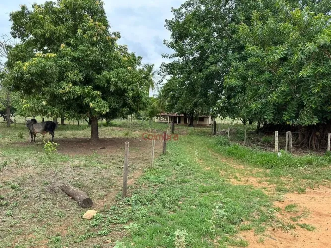 Fazenda Córrego Bonito