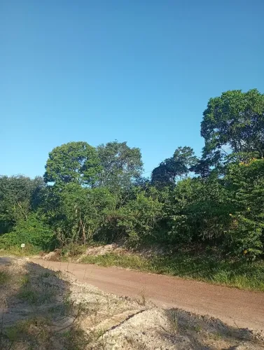Terreno com olho d'água