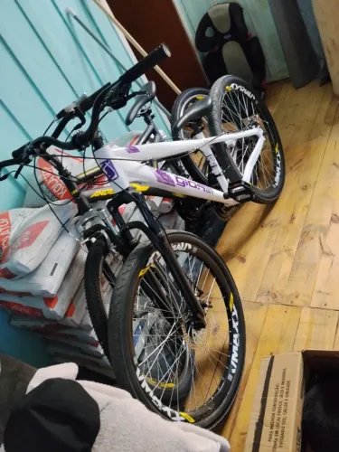 Bicicleta