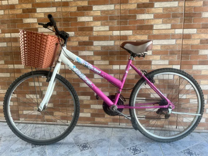 Bicicleta Aro 24