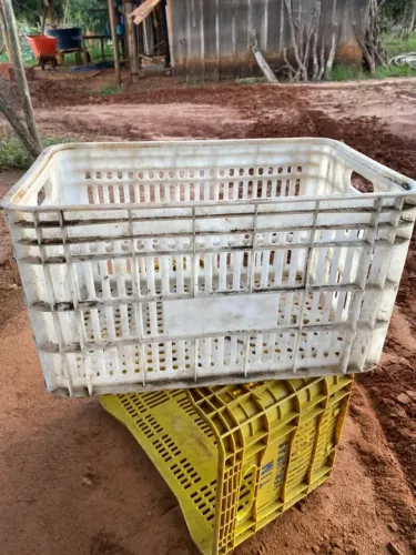 Caixas plásticas hortifruti padrão CEASA - legumes / verduras / frutas