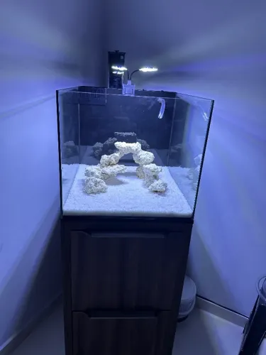 Aquário 100L