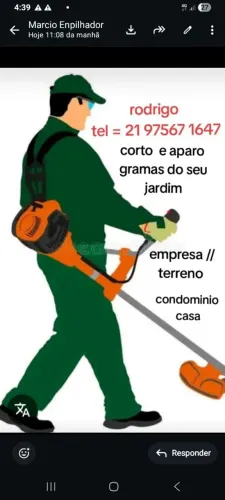 Limpeza e podas de árvores