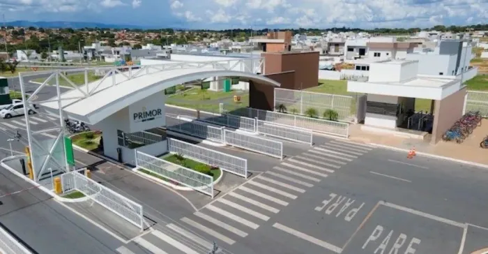 LOTE GINCO PRIMOR DAS TORRES