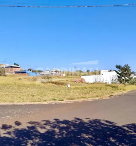 Terreno Padrão em São Carlos