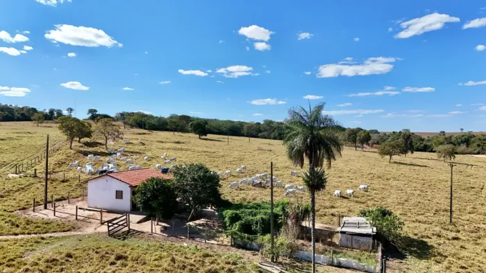 Fazenda a venda em Cezarina - Goiás
