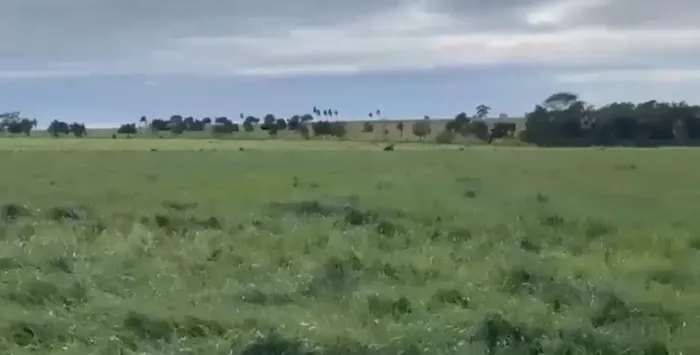 Fazenda a venda no MS. Coxim.