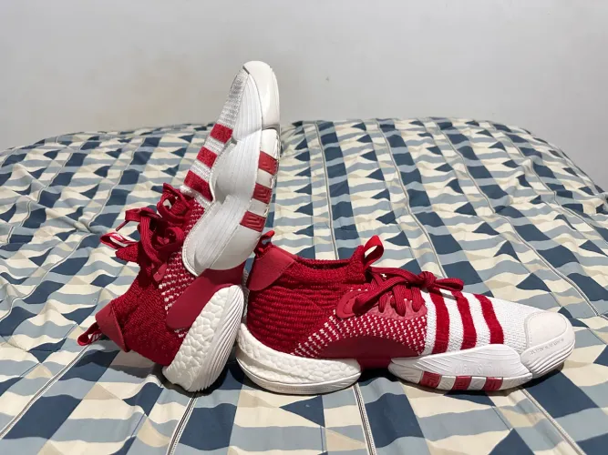 Trae Young 2.0 Adidas