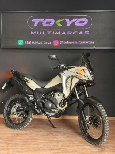 HONDA XRE SAHARA 300 ADV. 2024