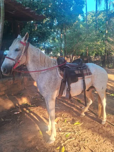 vendo ou troco em algum do meu enteresse 