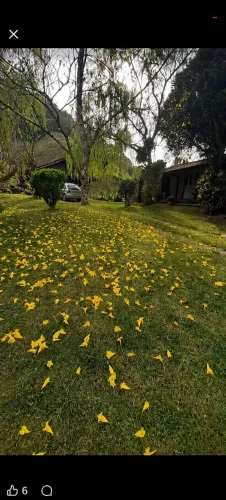 Terreno a venda em anitápolis 