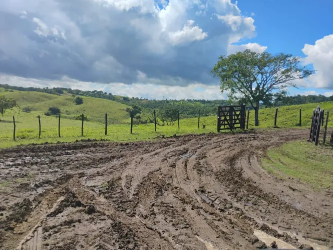 Maravilhosa fazenda de aproximadas, 503t' com casas' sede e de vaqueiro' curral completo