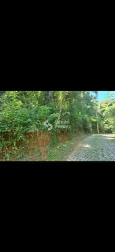 Terreno para venda possui 6080m² em Centro - Simão Pereira - MG