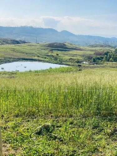 Fazenda em Rodeio SC | 771 Hectares de Potencial e Exclusividade