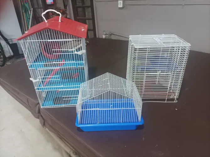 Três gaiolas para ramister 190.00 bairro Floresta em Joinville 