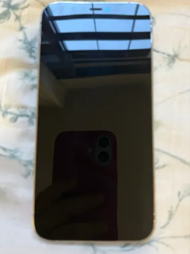 iPhone 12 Pro