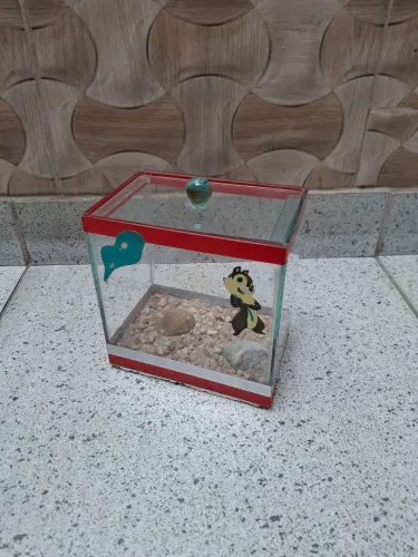 Aquário para peixe pequeno