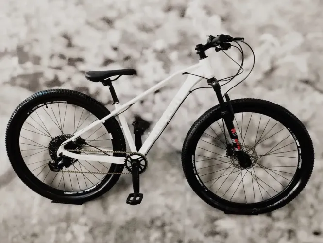 Bicicleta aro 29